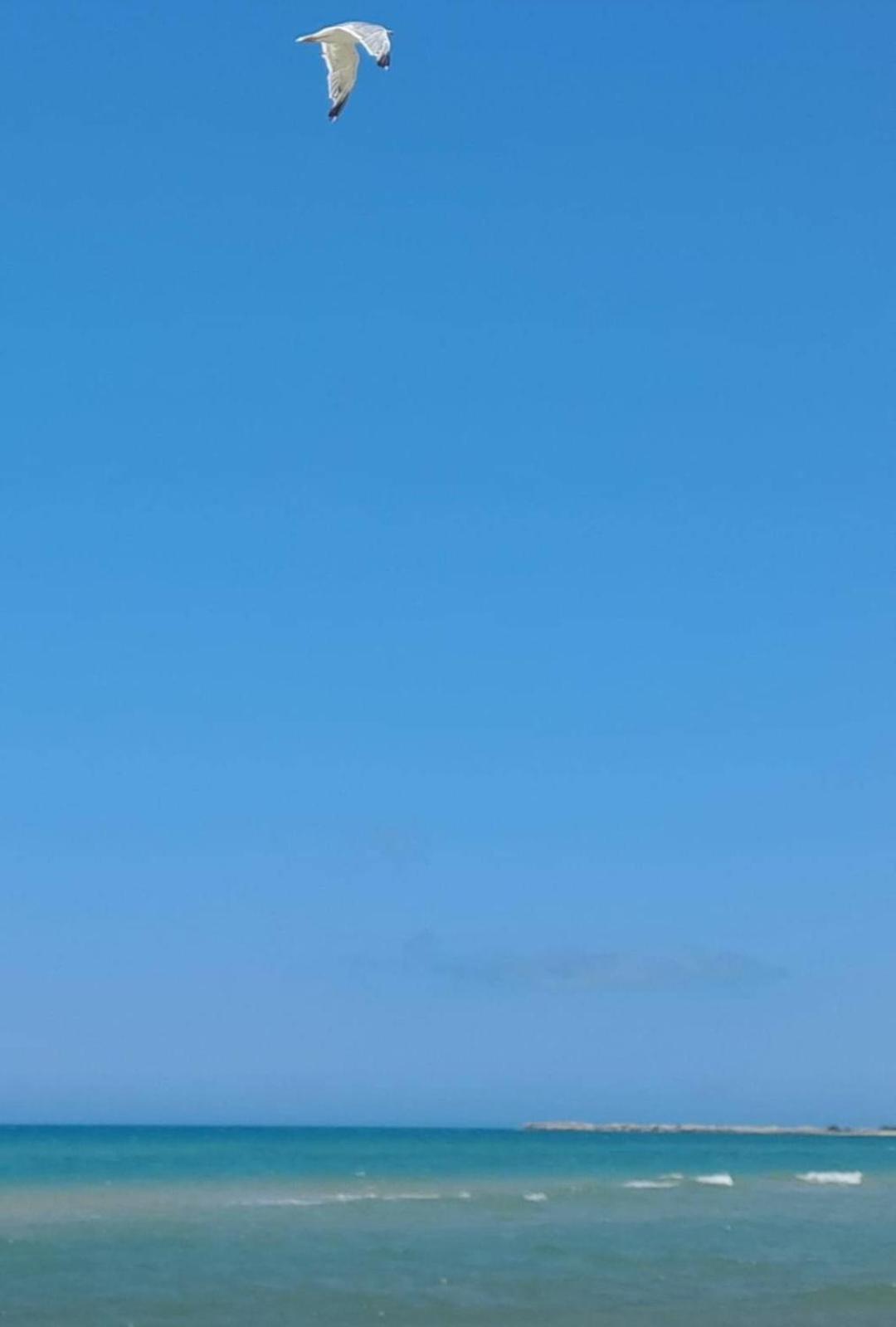 La Foggia Seaside Paradise Сикулиана Екстериор снимка